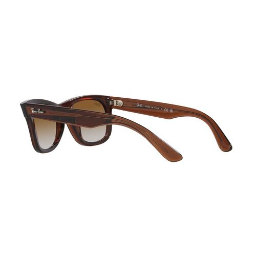 Lentes Solares Marrón Transparente Ray Ban