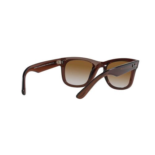 Lentes Solares Marrón Transparente Ray Ban