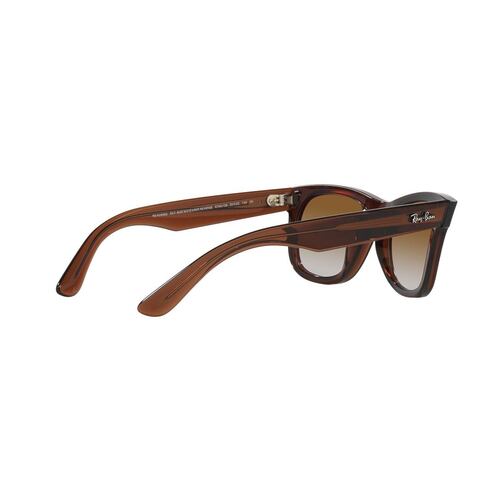 Lentes Solares Marrón Transparente Ray Ban