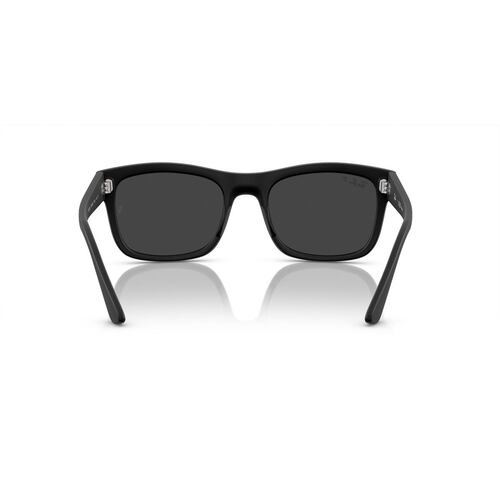 Lentes Solares Negro Mate Ray Ban