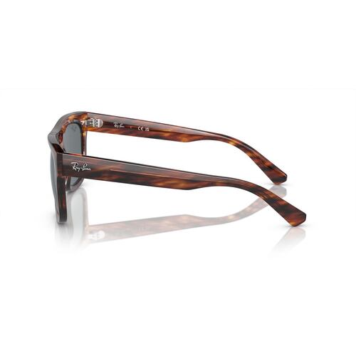 Lentes Solares Habana Rayas Ray Ban