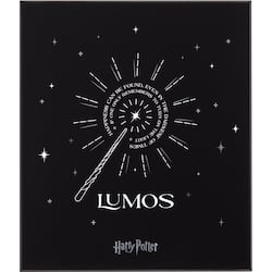 kit-de-regalo-moleskine-con-libreta-caja-y-pluma-roller-lumos-harry-potter