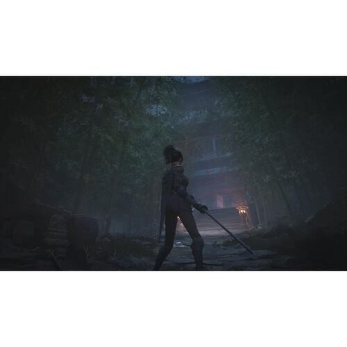 Preventa /Videojuego Wuchang Fallen Feathers Day One Edition para PS5