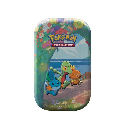 Pokemon TCG C. Mini Trading Card Game