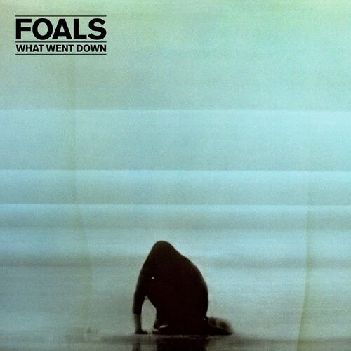 What Went Down Foals (Cd + Dvd)
