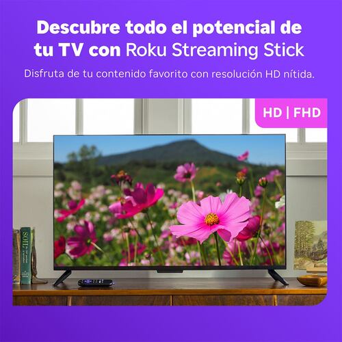 Roku Streaming Stick