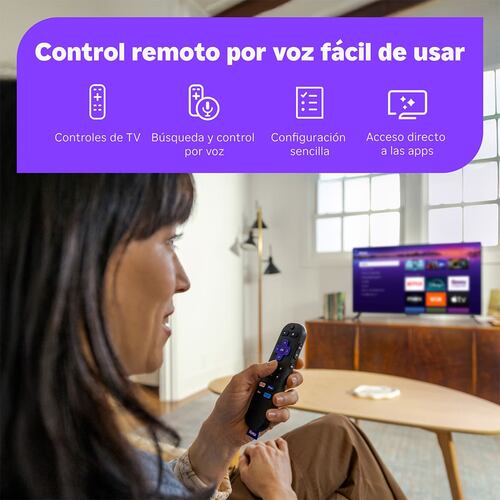 Roku Streaming Stick
