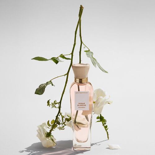 Adolfo Dominguez Agua Fresca Rosas Blancas Set para Dama Perfume EDT 120ml + Body Lotion 75ml