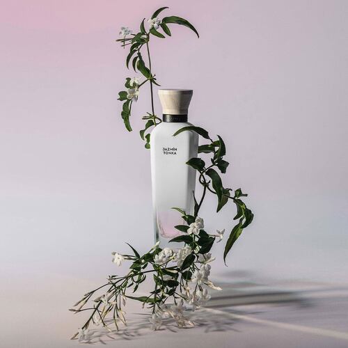 Adolfo Dominguez Jazmin Tonka Set para Dama Eau de Parfum 120ml + Body Lotion 75ml