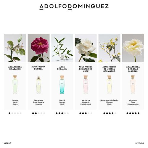 Perfume para Mujer Adolfo Dominguez Agua Fresca Bambú Eau de Toilette 120ml