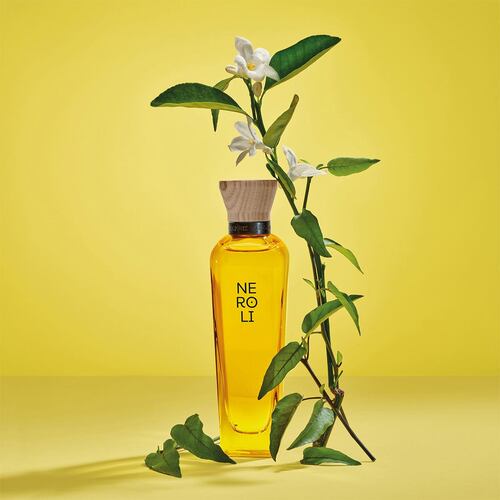 Perfume para Mujer Adolfo Dominguez Neroli Eau de Toilette 120ml