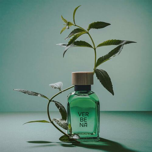 Perfume para Hombre Adolfo Dominguez Verbena Eau de Toilette 120ml