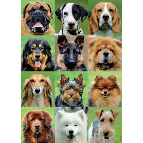 Rompecabezas 500  piezas collage de perros