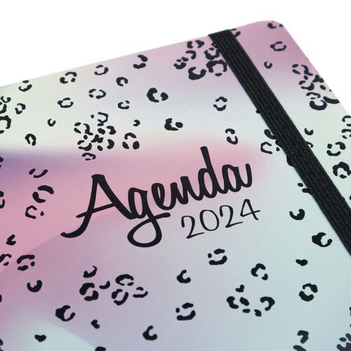 Agenda Talkual 1/4 Semana Vista Horizontal 2024 Shine