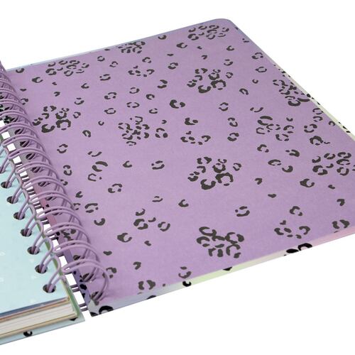 Agenda Talkual 1/4 Semana Vista Horizontal 2024 Shine