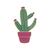 Broche de Cactus