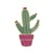 Broche de Cactus