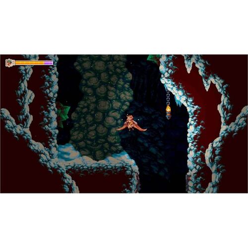 Owlboy PlayStation 4