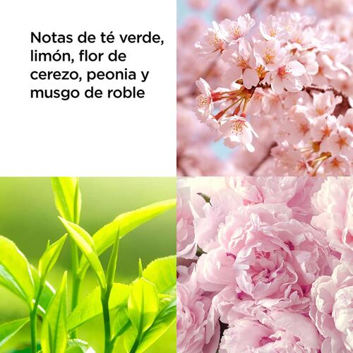 Fragancia Green Tea Cherry Blossom para Dama