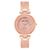 Reloj Anne Klein AK2512LPRG para Dama Rosa