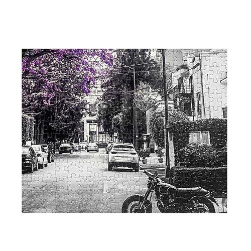 Rompecabezas Jacarandas CDMX 1000 Piezas Anatolian