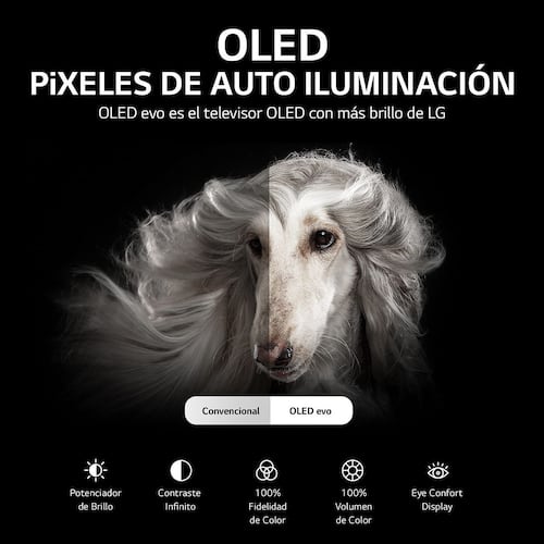 Pantalla LG OLED TV Evo Gallery Edition  77 Pulgadas 4K SMART TV