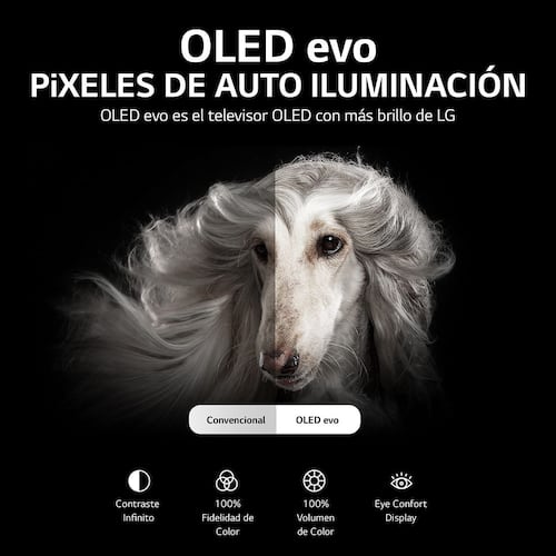 Pantalla LG OLED TV Evo 83 Pulgadas 4K SMART TV