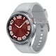 Samsung Galaxy Watch 6 Classic Gris 43mm