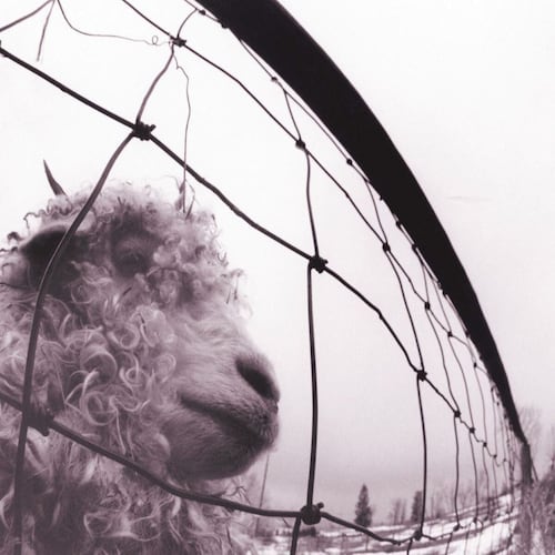 LP Pearl Jam - Vs. Vinyl Edition Remastered