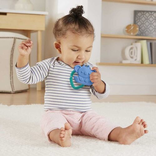 Amiguitos de la Selva (Personaje Sorpresa)