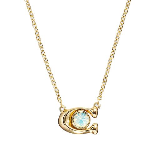 Box Set Collar Tipo Corto Detalle de Logo C y Aretes Tipo Colgante Corto Coach