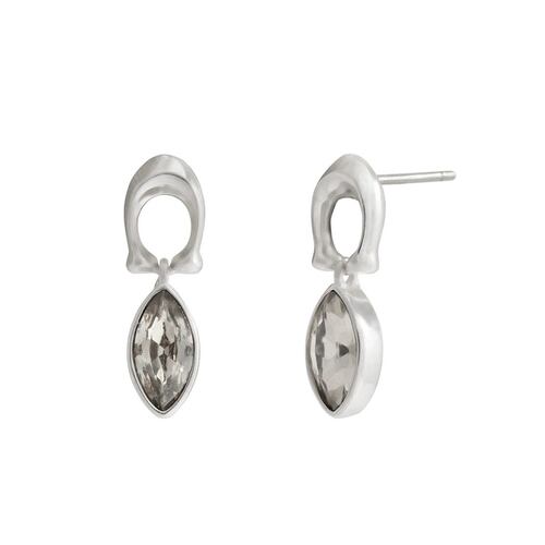 Box Set Collar Corto y Aretes Colgantes Cortos con Detalles en Cristal Y Logo C Coach