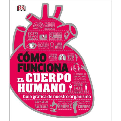 Cómo funciona el cuerpo humano
