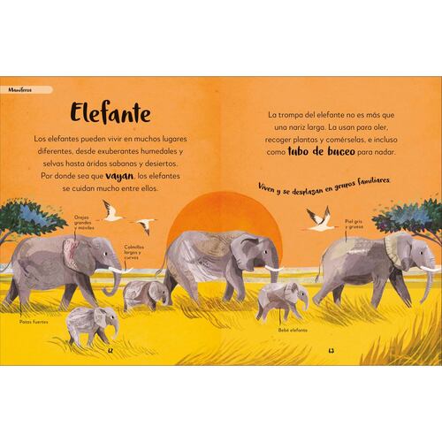Mi primer libro de animales
