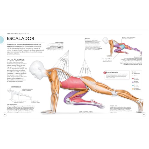 Hiit. Entrenamiento de intervalos de alta intensidad