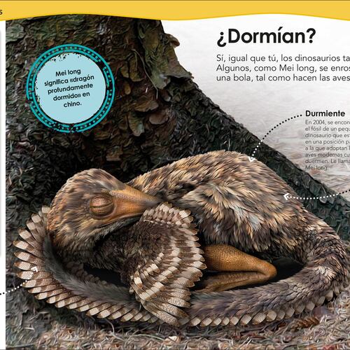 ¿Sabías qué? Dinosaurios