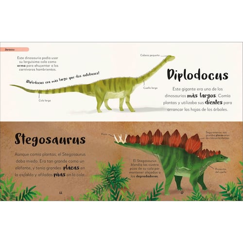 Mi primer libro de dinosaurios y otras criaturas prehistóricas