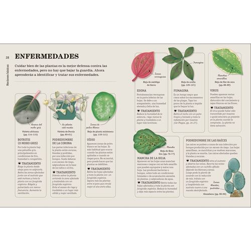 Cómo no matar tus plantas (NE)