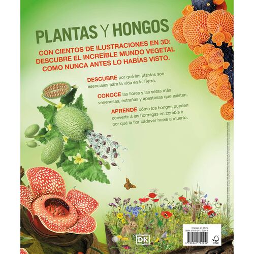Plantas y hongos