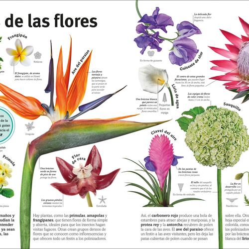 El libro de las flores y los árboles