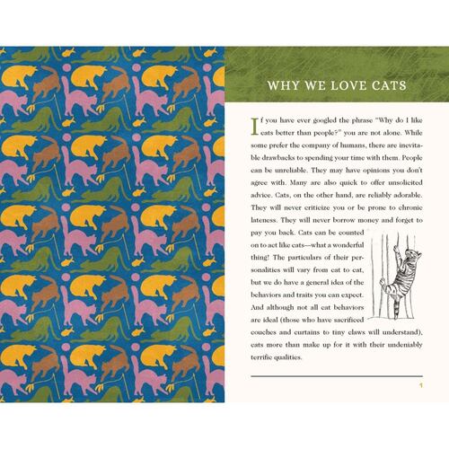 This Is a Book for People Who Love Cats