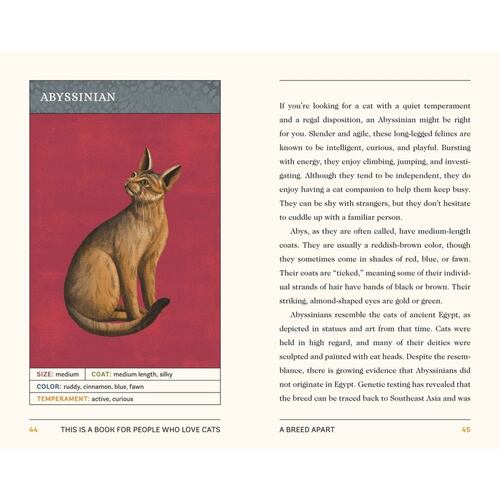 This Is a Book for People Who Love Cats