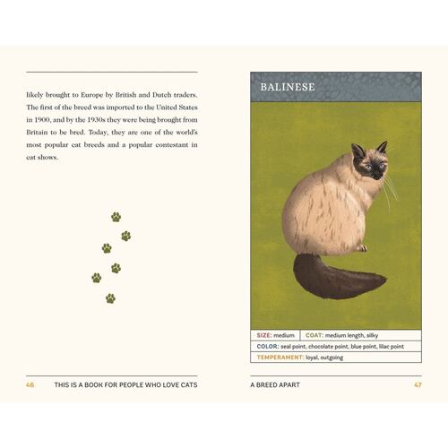 This Is a Book for People Who Love Cats