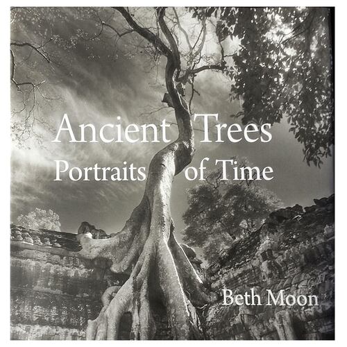 Ancient Trees: Portraits of Time