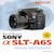 David Busch's Sony Alpha SLT-A65 Guide to Digital Photography