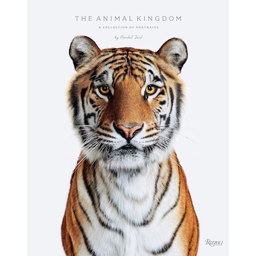 Animal Kingdom: A Collection of Portraits