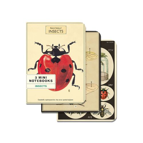 Mini libreta set 3 insectos