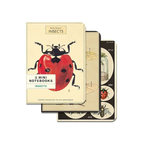 Mini libreta set 3 insectos