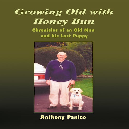 Growing Old with Honey Bun