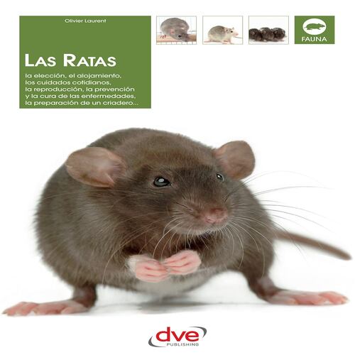 Mantener a las ratas lejos del hogar: tips libres de crueldad, Ecología, La Revista